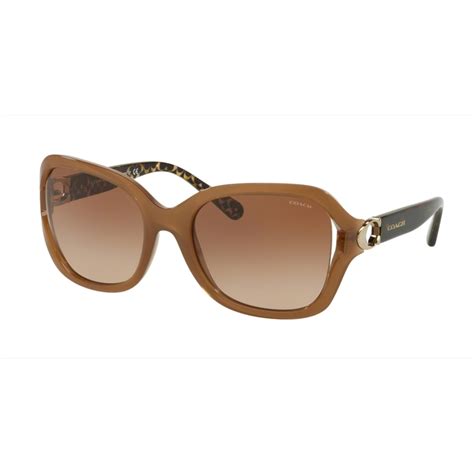 women's sunglasses coach.